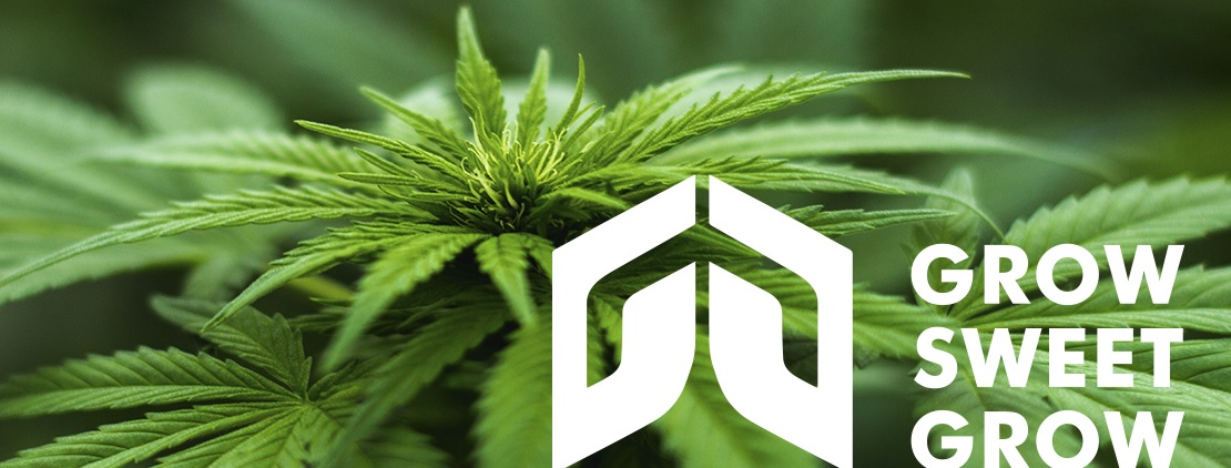 Temporada 2026