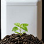 FERTILIZANTES
