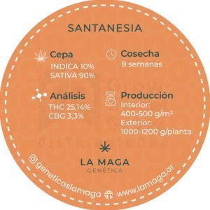 PLANTIN - SANTANESIA